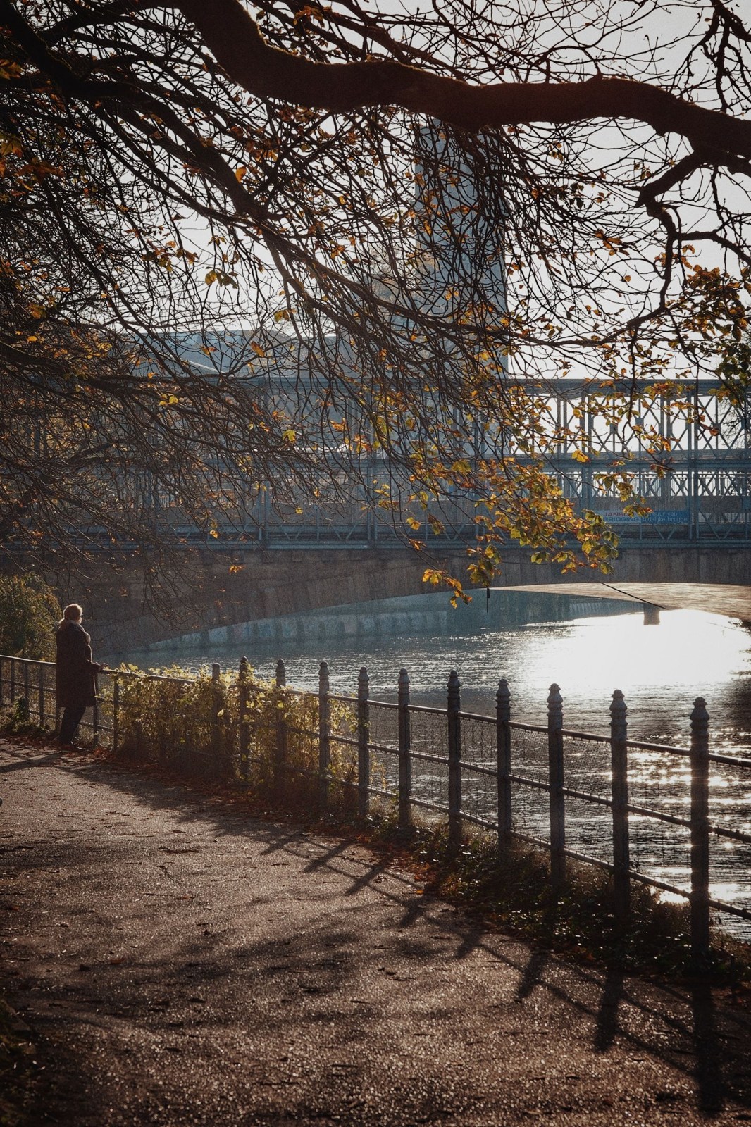 Autumn path beside the Isar in Munich