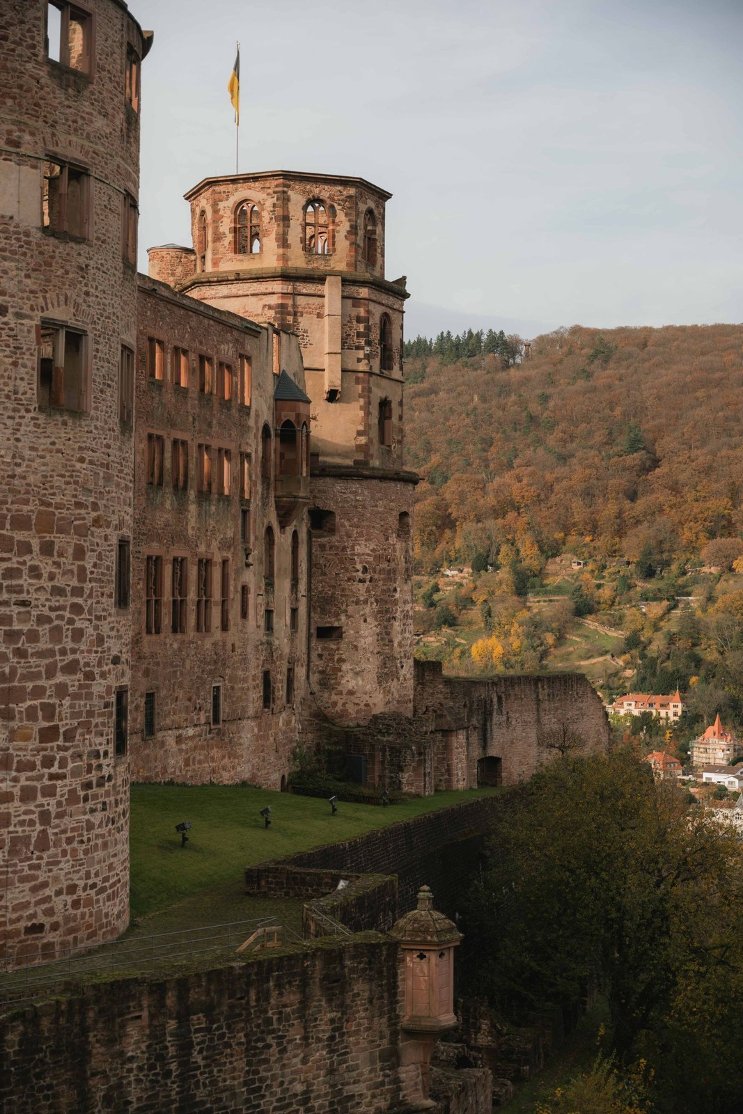 Heidelberg Castle above autumn trees