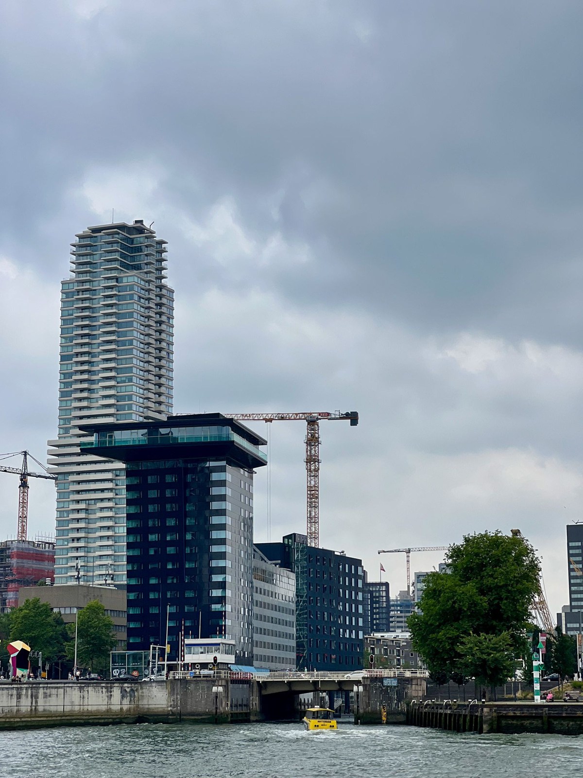 Modern buildings beside the water in Rotterdam