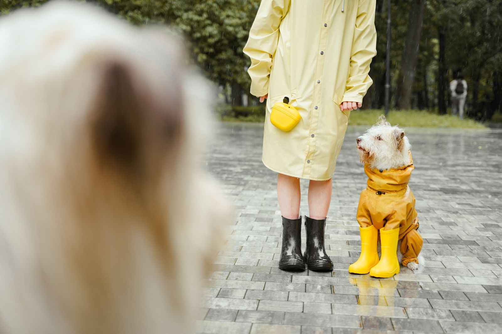 Raincoat and boots on a wet pavement